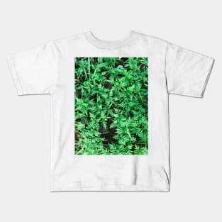 Grass (Yellow cosmos) texture background (greener) Kids T-Shirt